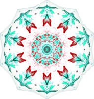 Siphonophorae 22