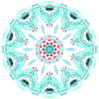 Siphonophorae 28