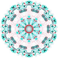Siphonophorae 34