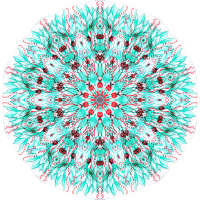 Siphonophorae 36