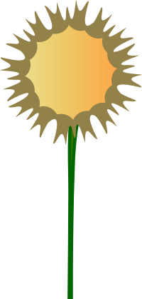 thistle flower