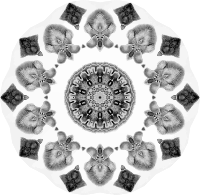 Chiroptera 15