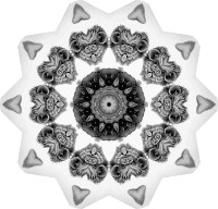 Chiroptera 19