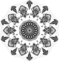 Chiroptera 17