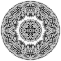 Chiroptera 16