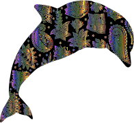 Chromatic Floral Pattern Dolphin