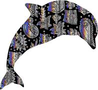 Chromatic Floral Pattern Dolphin 3