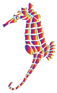 Spectral Stylized Seahorse Silhouette No Background