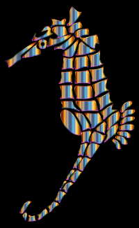 Chromatic Stylized Seahorse Silhouette