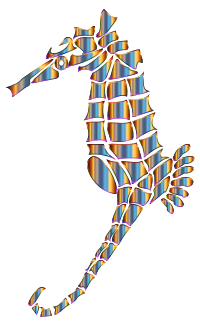 Chromatic Stylized Seahorse Silhouette No Background