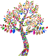 Chromatic Triangular Simple Prismatic Tree