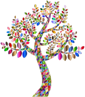 Complex Prismatic Tree Variation 2 No Background