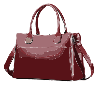 Magenta Purse