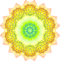 Polycyttaria 4