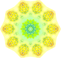 Polycyttaria 5