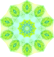 Polycyttaria 7