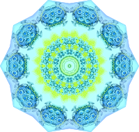 Polycyttaria 10