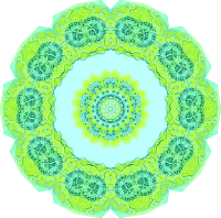 Polycyttaria 8