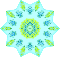 Polycyttaria 9