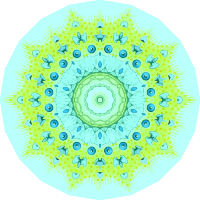 Polycyttaria 12
