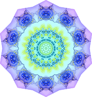 Polycyttaria 11