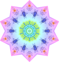 Polycyttaria 13