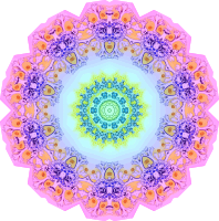 Polycyttaria 14