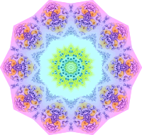 Polycyttaria 15