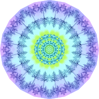 Polycyttaria 16