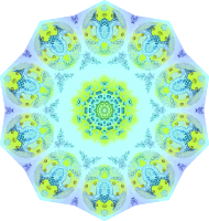 Polycyttaria 17