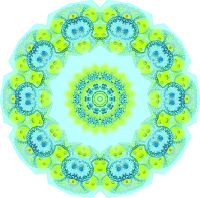 Polycyttaria 18