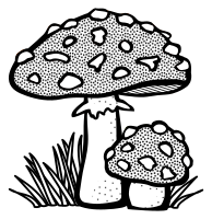 toadstool - lineart