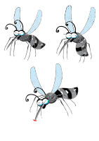 mosquito gnat midge