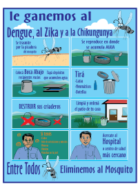 dengue zika chikungunya