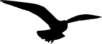 Seagull (silhouette)