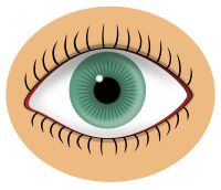Blue eye