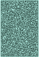 The Maze of Samsara