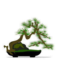 bonsai-04