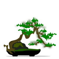 bonsai-05
