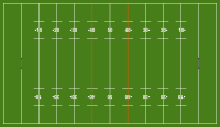 Rugby league pitch