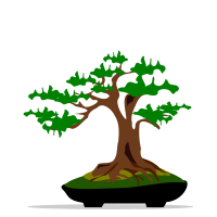 bonsai-06