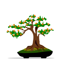bonsai-07