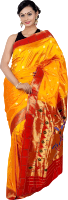 Woman in saree 5