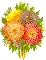 Aster