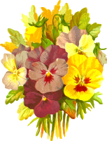 Pansies 2