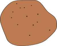 potato