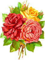 Roses 3