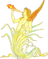 Flowery trumpeter