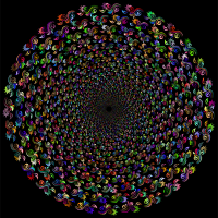 Prismatic Floral Motif Silhouette Vortex 3