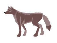 wolf brown
